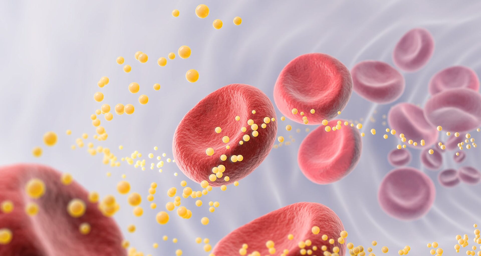 Blood Cells Cholesterol