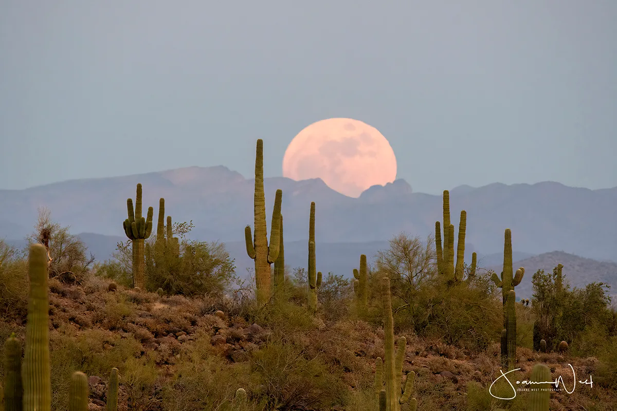 The Blue Moon captured by Joanne West on 30 May 2026, just after sunset, Usery Mountain Regional Park, Arizona, USA
