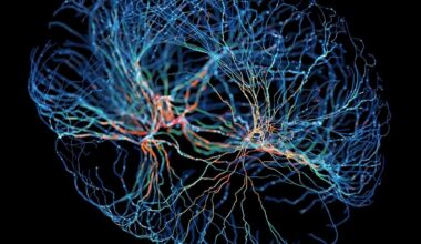 Scientists Find Hidden 'Focus Switch' in The Brain – And It May Hold Clues to ADHD : ScienceAlert