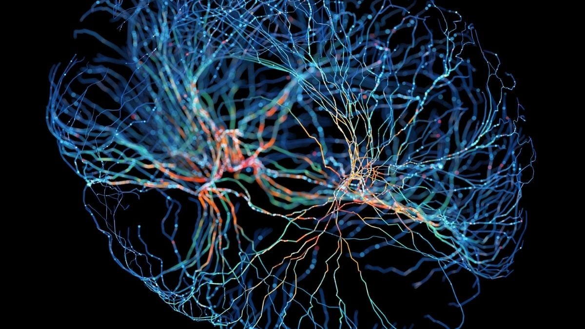 Scientists Find Hidden 'Focus Switch' in The Brain – And It May Hold Clues to ADHD : ScienceAlert