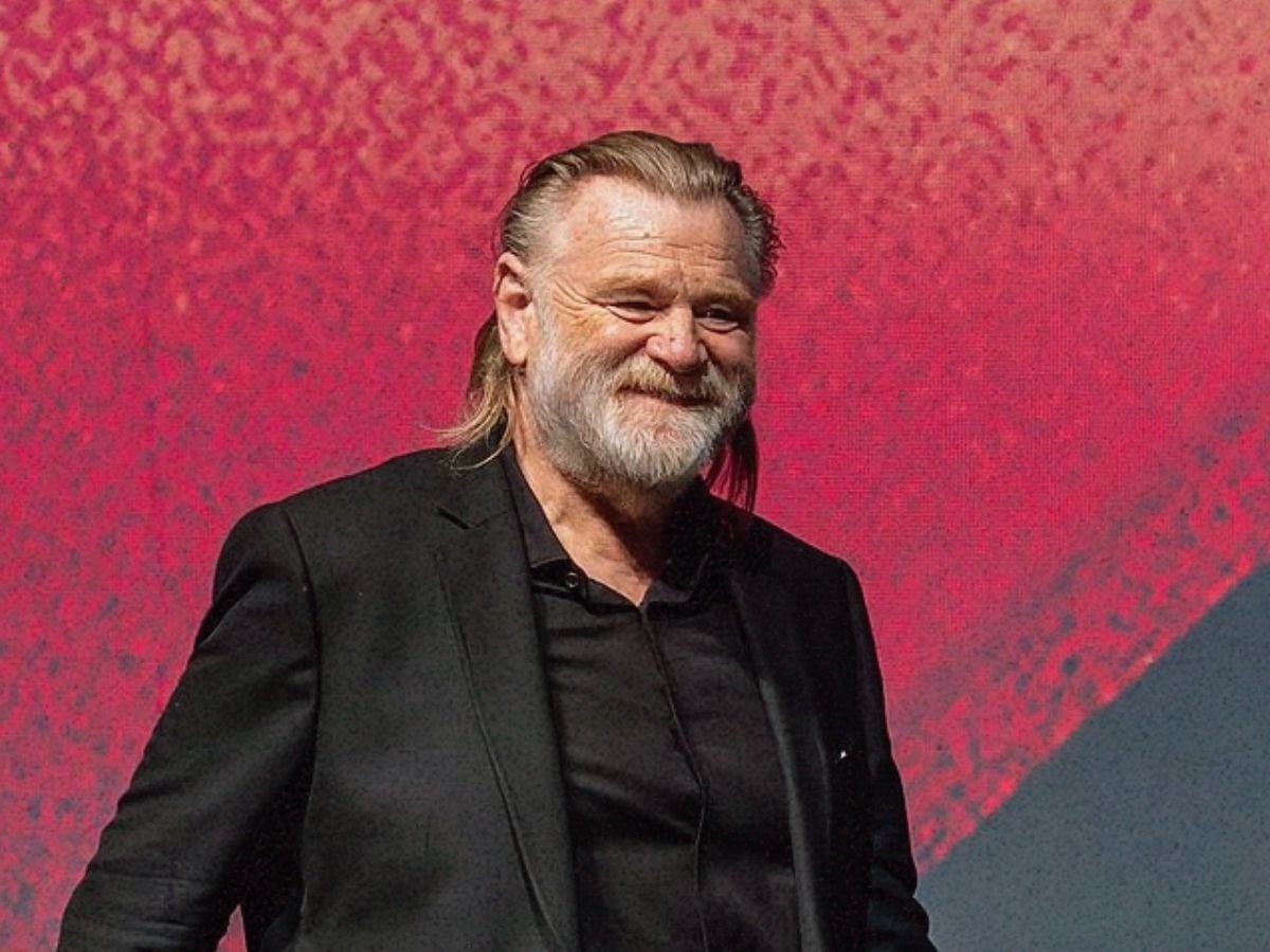 The 2017 movie Brendan Gleeson calls his only "perfect" film