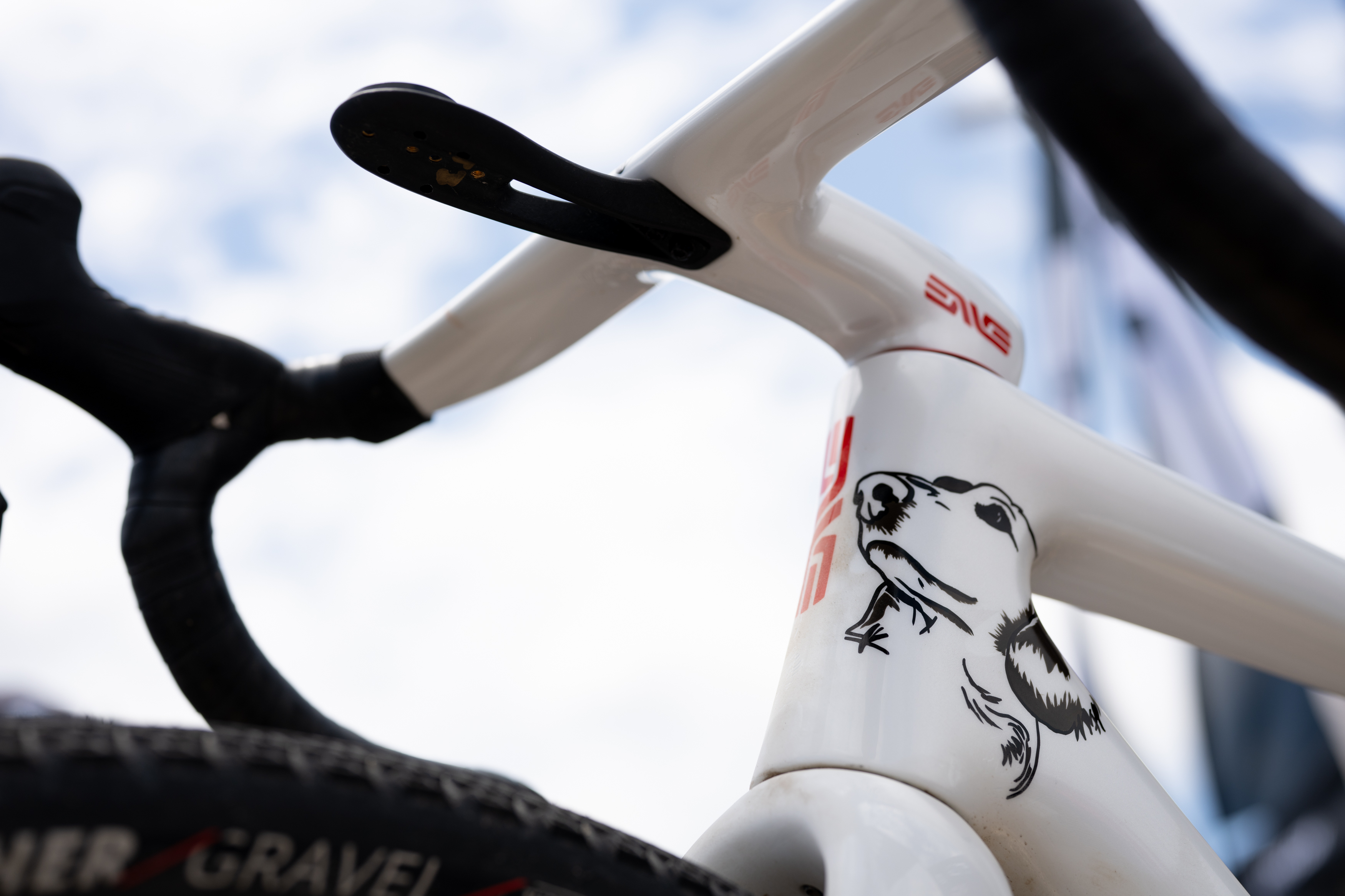 Alexey Vermeulen's custom painted Enve Mog dog bike for Unbound Gravel