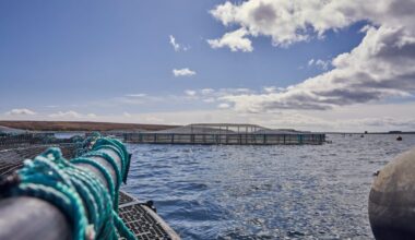 Salmon farm off Vementry which drew fishing objections is approved by SIC