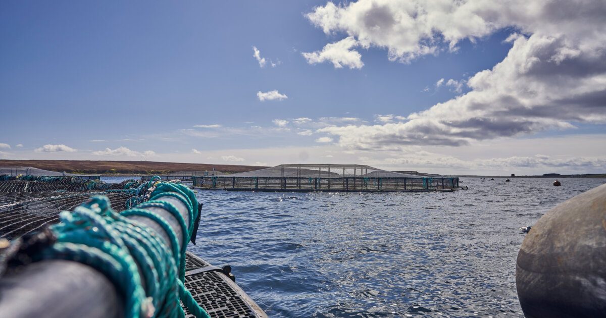 Salmon farm off Vementry which drew fishing objections is approved by SIC