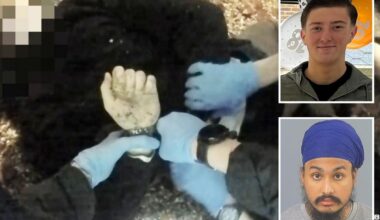 Cops handcuff Henry Nowak as he bled out after Sikh knife attack