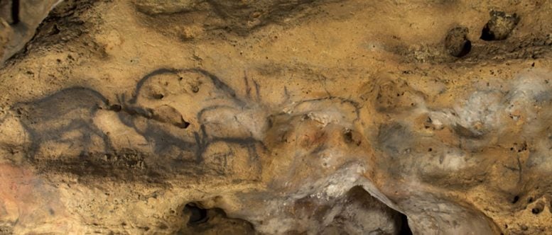 Cave Paintings at Font De Gaume, Dordogne