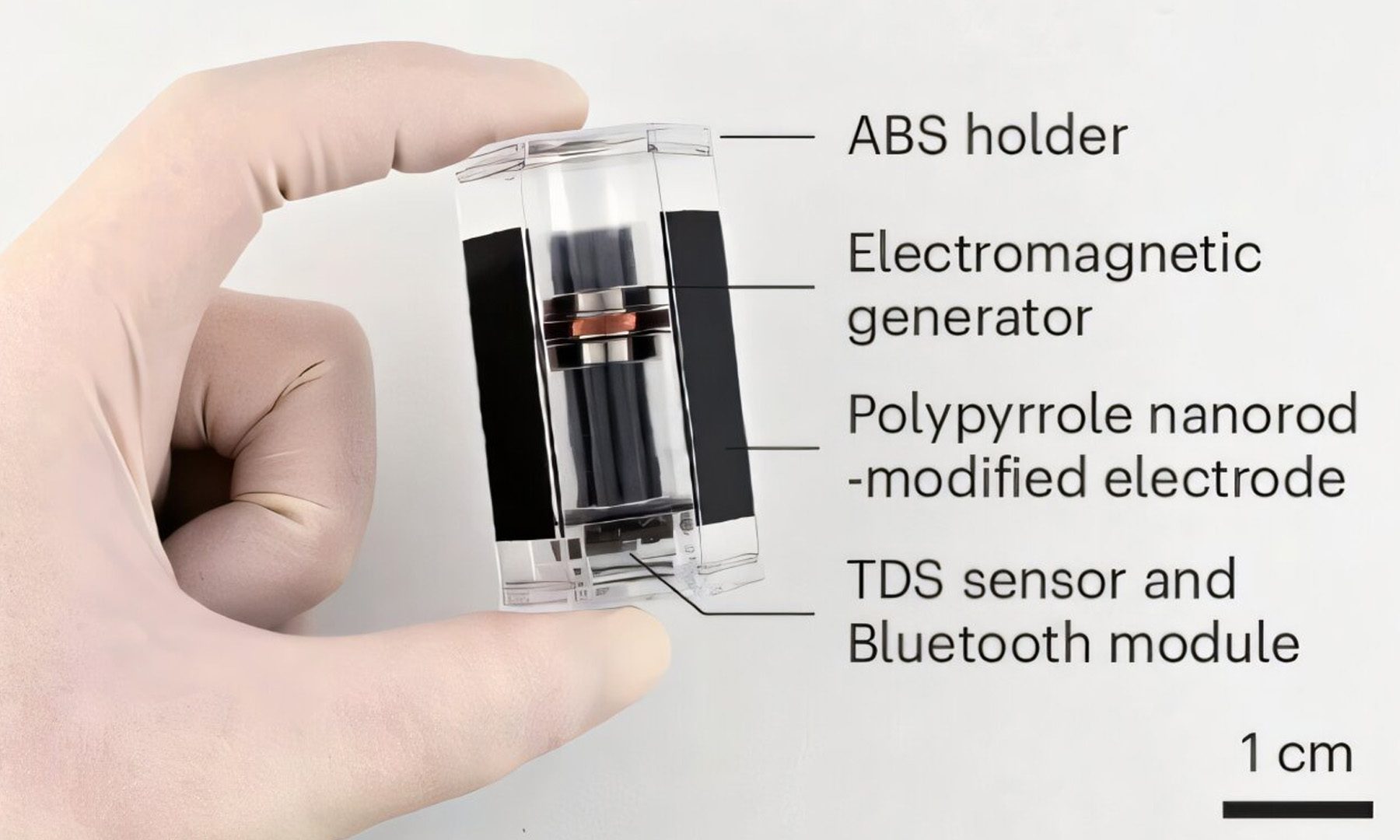 Construction of an FDGD capsule, including an internal EMG and a TDS sensor with the Bluetooth module and an outside ABS dielectric shell taped with PPy nanorod-modified electrodes on its surface