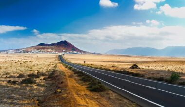 Canary Islands Documentaries Offer 'Goldmine' of Untold Stories