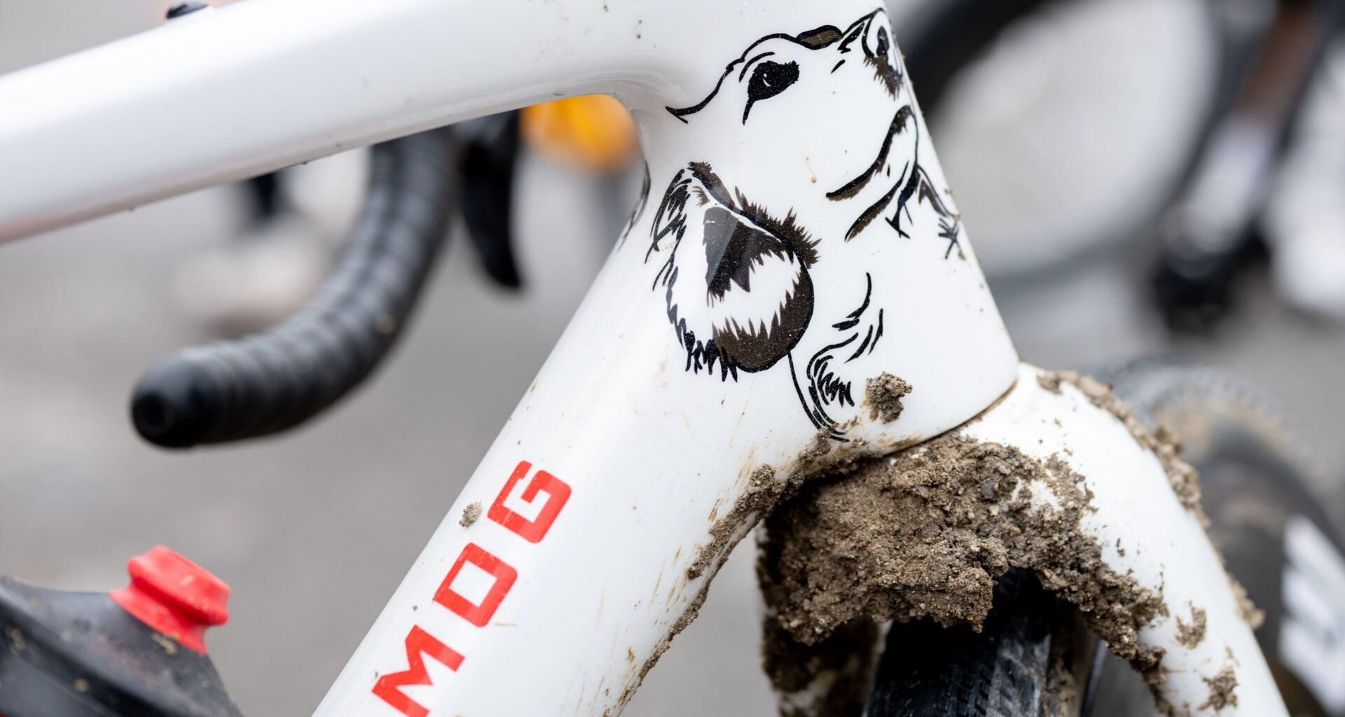 Tribute to a man's best friend - Alexey Vermeulen's custom-painted 'Sir Willie' Enve bike for Unbound Gravel