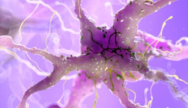 Damaged Neuron Brain Nerve Cell