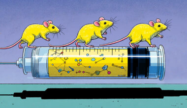 Data raises questions about long-term effects of GLP-1 therapies
