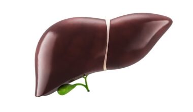 Prebiotic fiber supplement reduces harmful gut metabolites and improves liver health