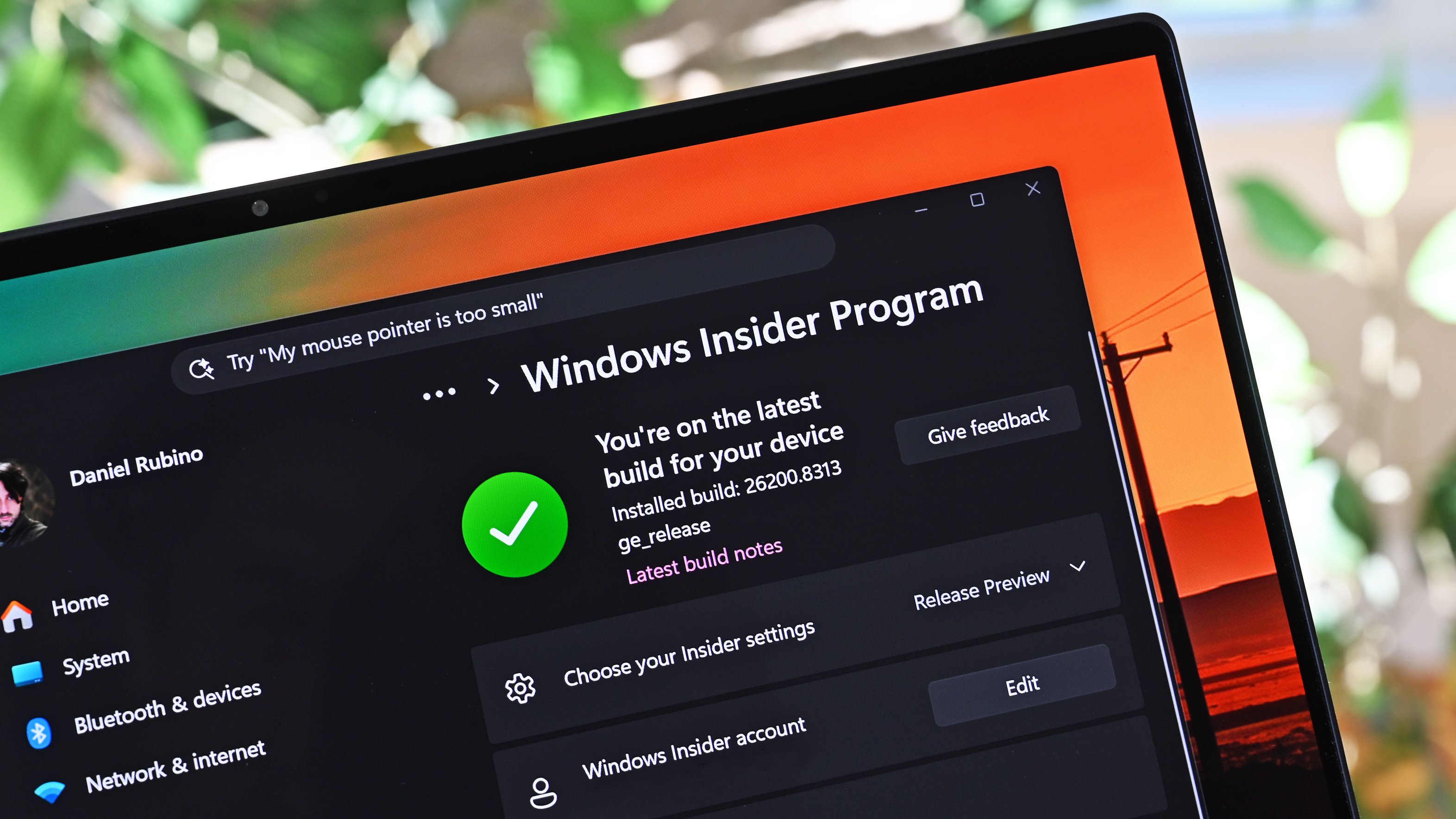 Close-up of a laptop screen displaying the Windows Insider Program page. A green checkmark indicates the latest build is installed. The background shows blurred greenery outside.