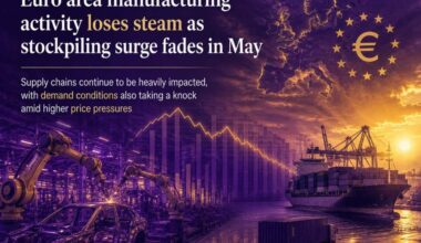 Euro area manufacturing activity loses steam as stockpiling surge fades in May