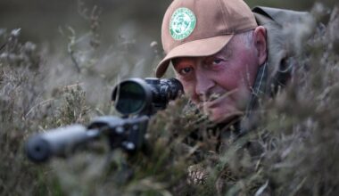 ‘Kill quickly and cleanly’: How culling can help manage Ireland’s rising deer population – The Irish Times