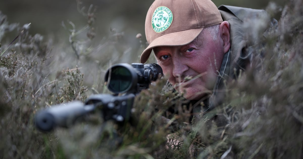 ‘Kill quickly and cleanly’: How culling can help manage Ireland’s rising deer population – The Irish Times