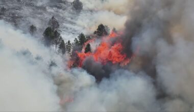 Fire crews continue to tackle large wildfire on moorland near Glossop