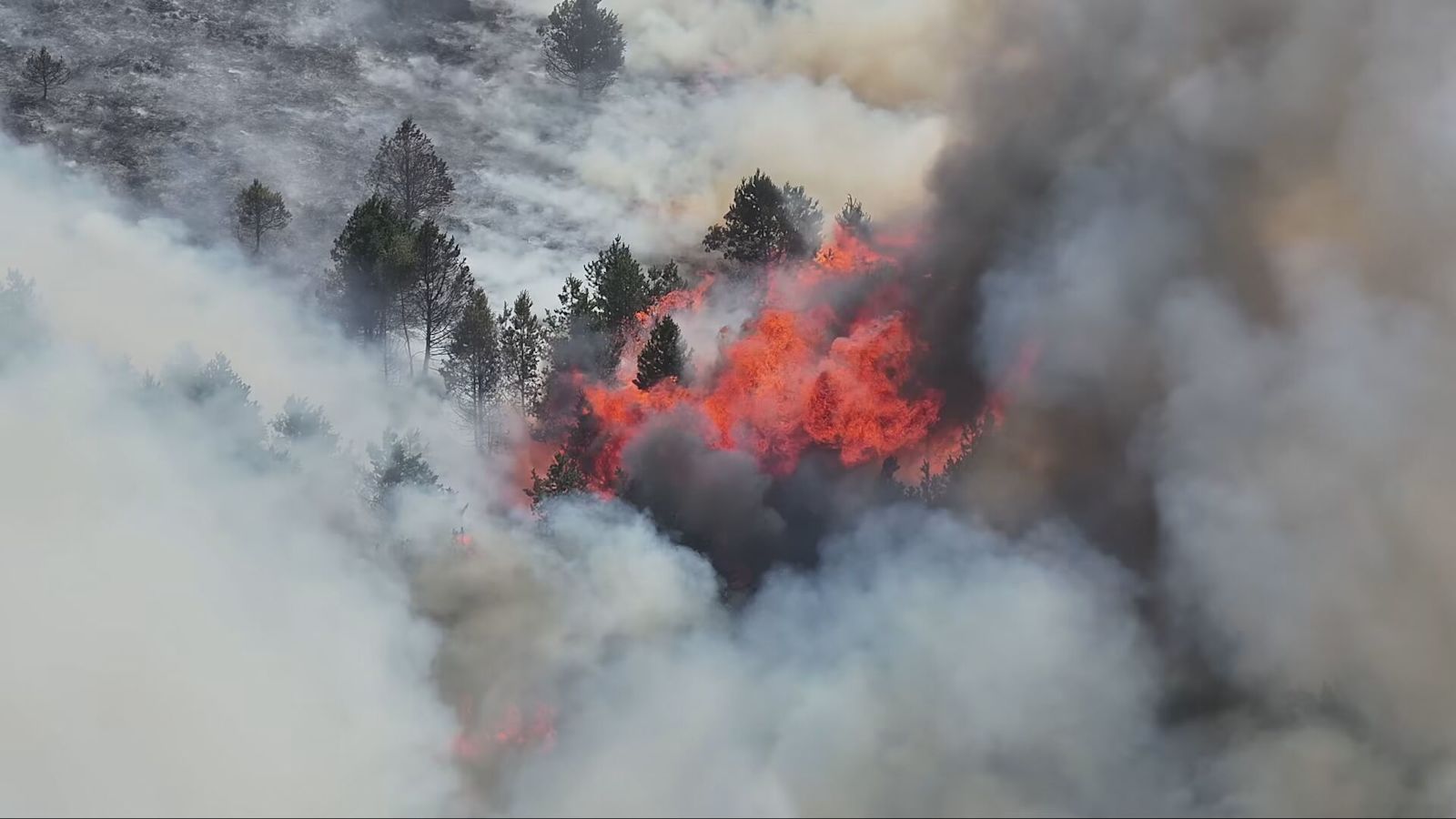 Fire crews continue to tackle large wildfire on moorland near Glossop