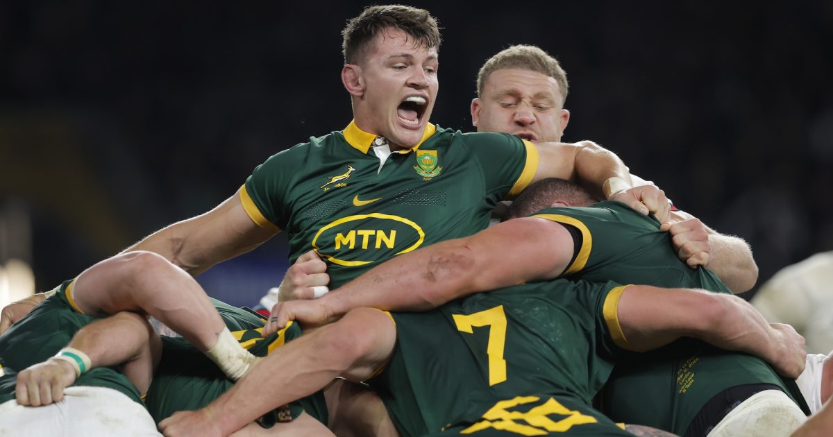 'It's a bad injury': Elrigh Louw called up as Springbok injury crisis worsens