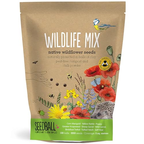 Seedball Wildlife Mix Seed Bombs &ndash; 100 Seed Balls Per Pack | Bee Friendly British Wild Flower Seed Mix | Beautiful Coloured Garden Flower Seed Bombs for Bees, Birds &amp; Other Garden Wildlife