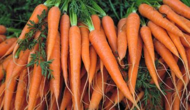 Benicaros gains EFSA Novel Food approval