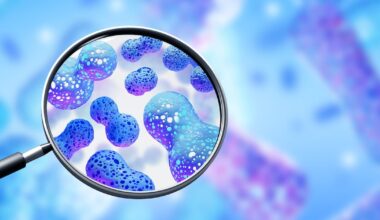 Study highlights variable synbiotic relationship of prebiotics and probiotics