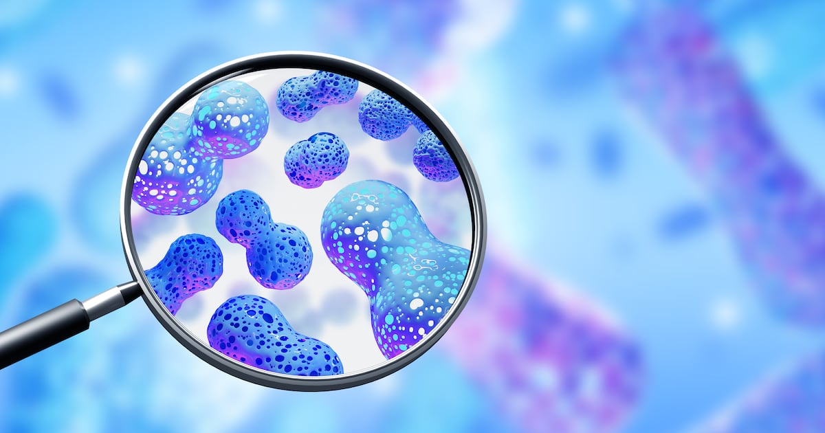 Study highlights variable synbiotic relationship of prebiotics and probiotics