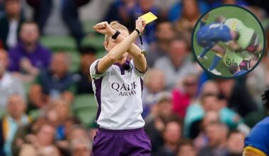 Ex-Irish ref boss: World Rugby trial gives 'licence to assault'