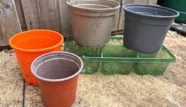 Plastic plant pots now recyclable from home across Burnham-On-Sea area