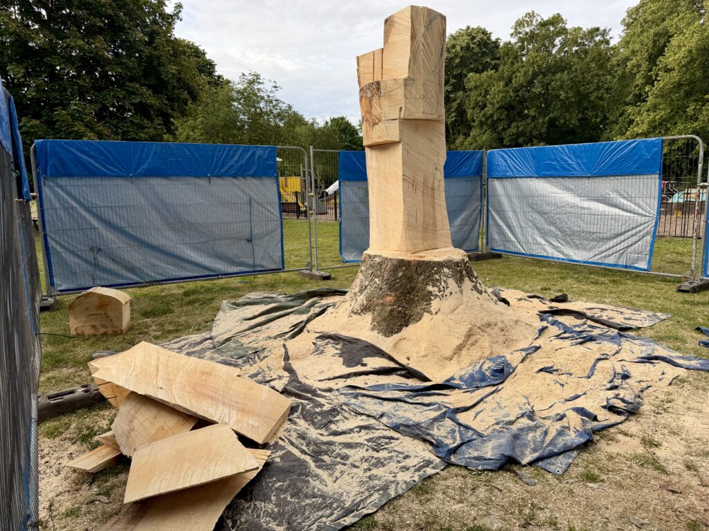 Tree trunks to be transformed into wildlife sculptures in Bridgford Park
