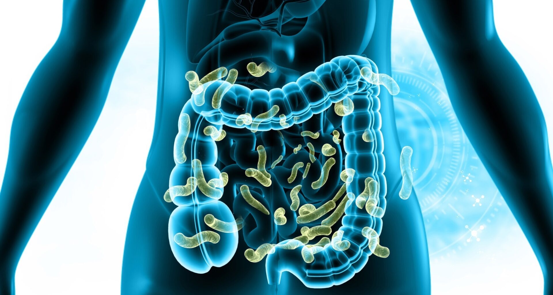 Review: Beyond estrobolome 1.0: unraveling endocrine-microbiome axis as a driver and therapeutic target in hormone-driven cancers. Image Credit: Explode / Shutterstock
