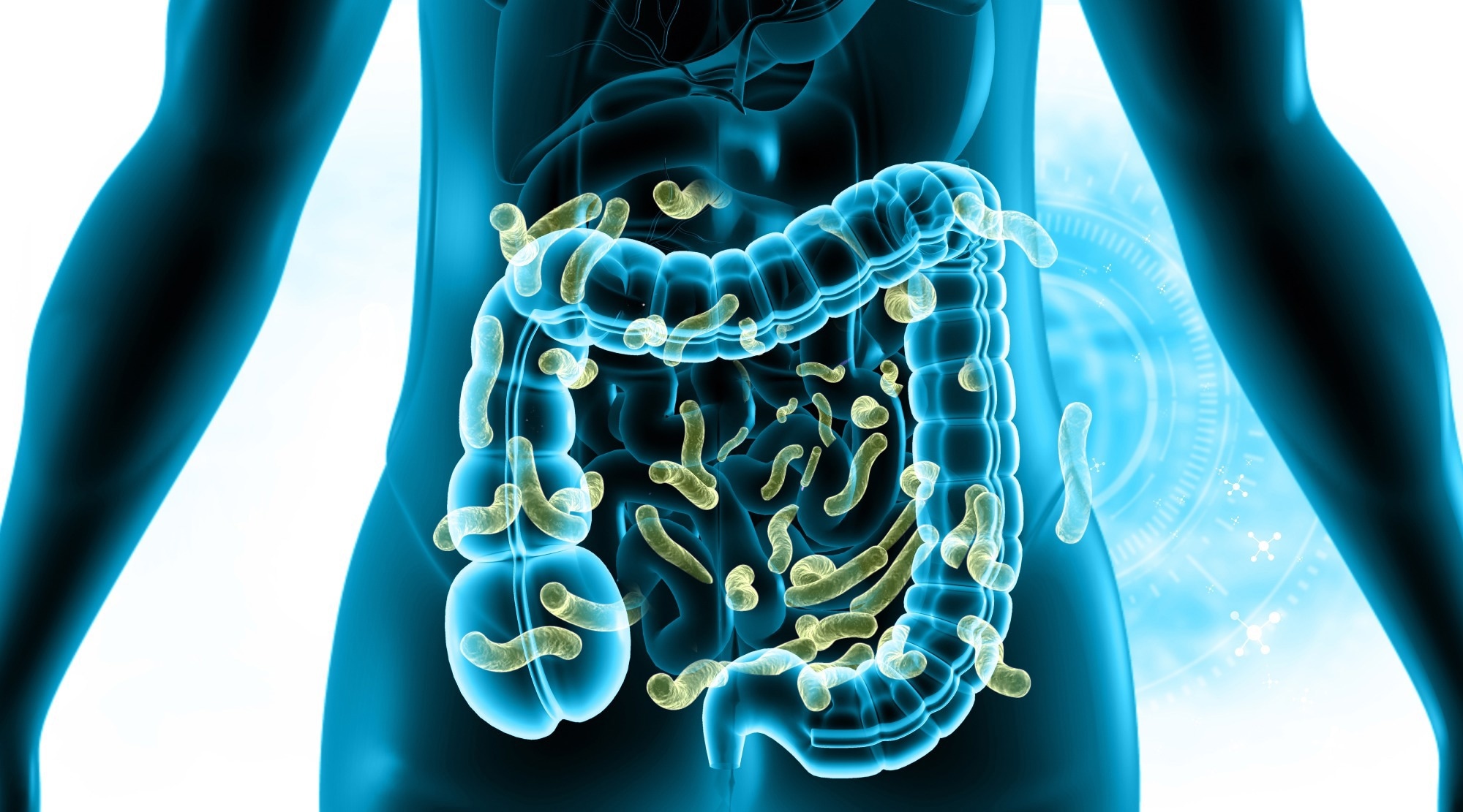 Review: Beyond estrobolome 1.0: unraveling endocrine-microbiome axis as a driver and therapeutic target in hormone-driven cancers. Image Credit: Explode / Shutterstock