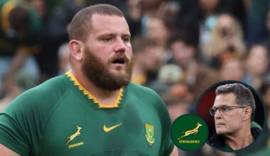 Rassie Erasmus explains 'hammering' behind Springbok omission of Wilco Louw