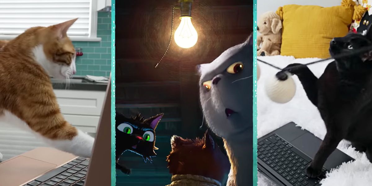Images from Pixar Gatto trailer and cats' reactions to the Gatto trailer