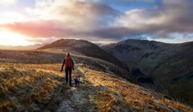 A hiker and their dog walking towards the mountain summit of High Spy from Maiden Moor at sunrise