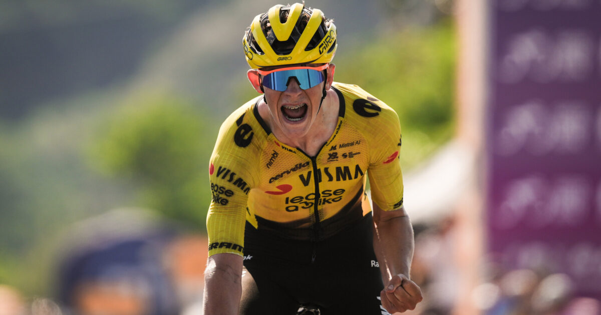 Team Visma | Lease a Bike