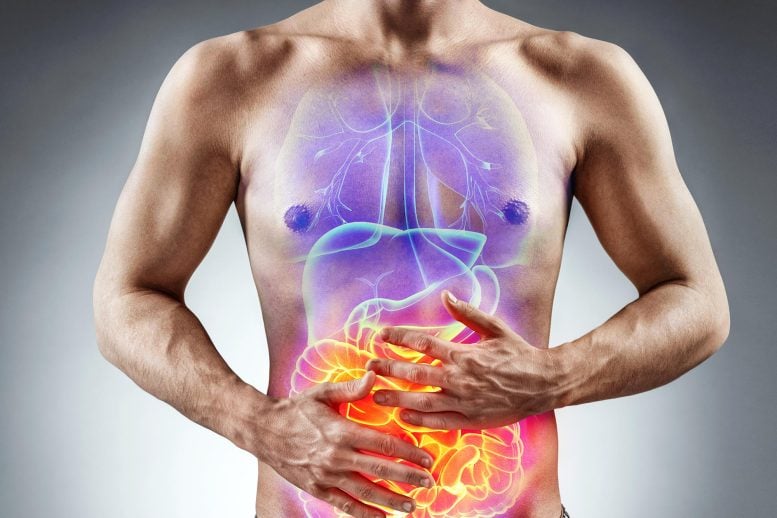 Man Stomach Pain Irritable Bowel Syndrome IBS Inflammatory Bowel Disease IBD