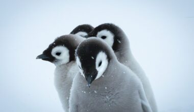 Shortlisted images of science photography competition brilliantly depict the wonders of Earth