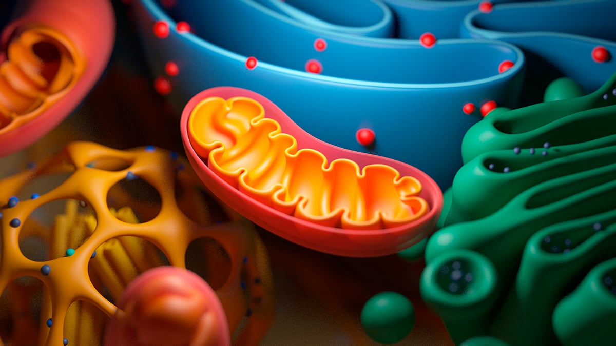 The Cells In Your Body Fade With Age, But There May Be a Way to Reverse It : ScienceAlert