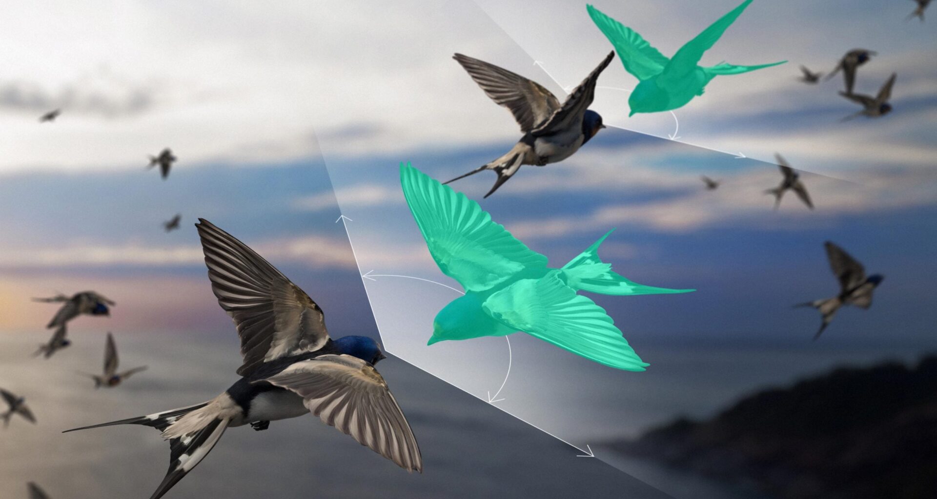 How Flocking Birds “Defy” One of Physics’ Most Fundamental Laws