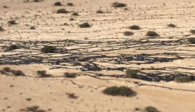 Nature Authority to remove 40,000 tons of soil polluted in massive 2014 oil spill