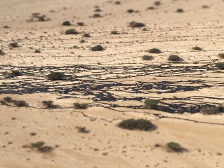 Nature Authority to remove 40,000 tons of soil polluted in massive 2014 oil spill