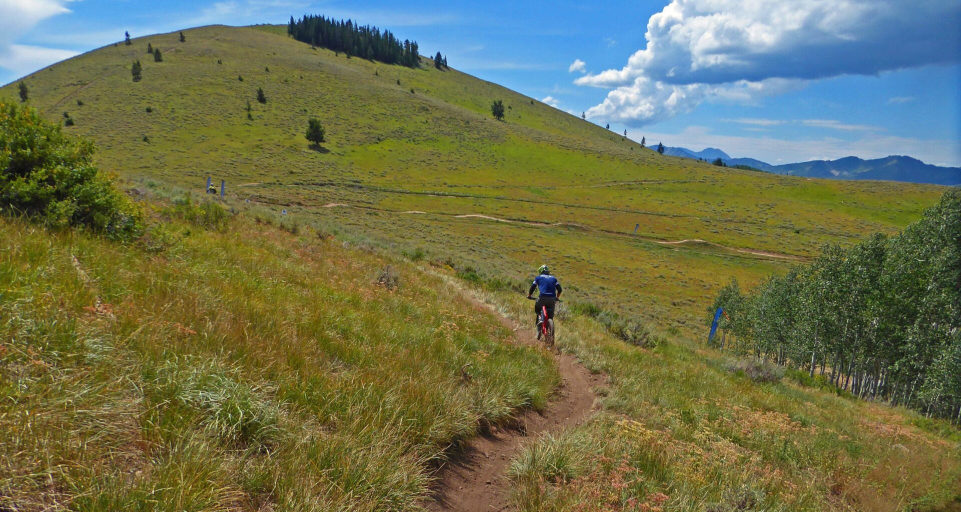 A person riding a mountain bike along a winding dirt trail surrounded by lush green grass and rolling hills under a clear blue sky with scattered clouds. In the background, a hill with a tree line and additional trails is visible. Deer Valley Resort Bike Park mountain bike trail.