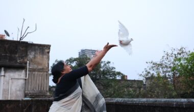Acclaimed Bengali Drama 'Pinjar' Lands International Deal