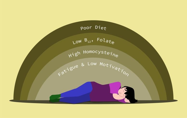 Poor Nutrition and Fatigue