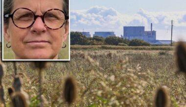 South Brooks Solar Farm in Lydd, Romney Marsh, set to be Kent’s biggest ever, takes major step forward