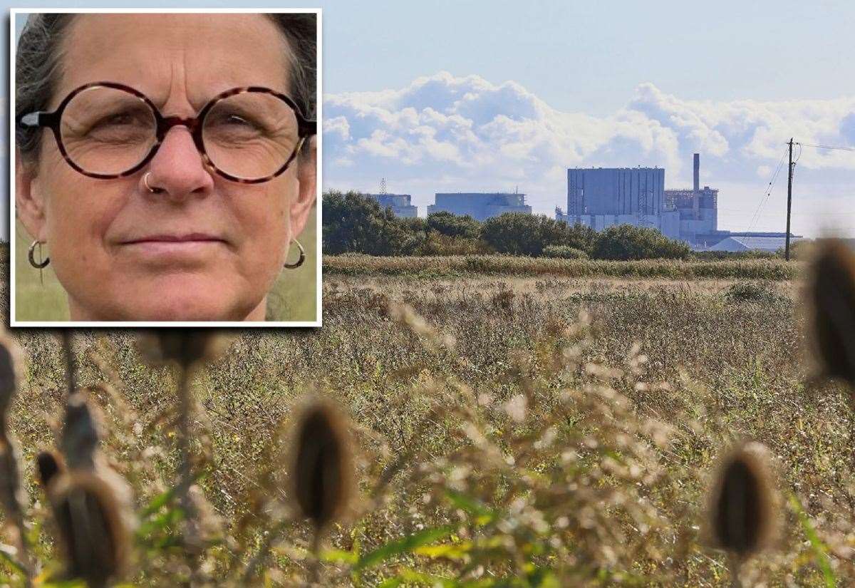 South Brooks Solar Farm in Lydd, Romney Marsh, set to be Kent’s biggest ever, takes major step forward