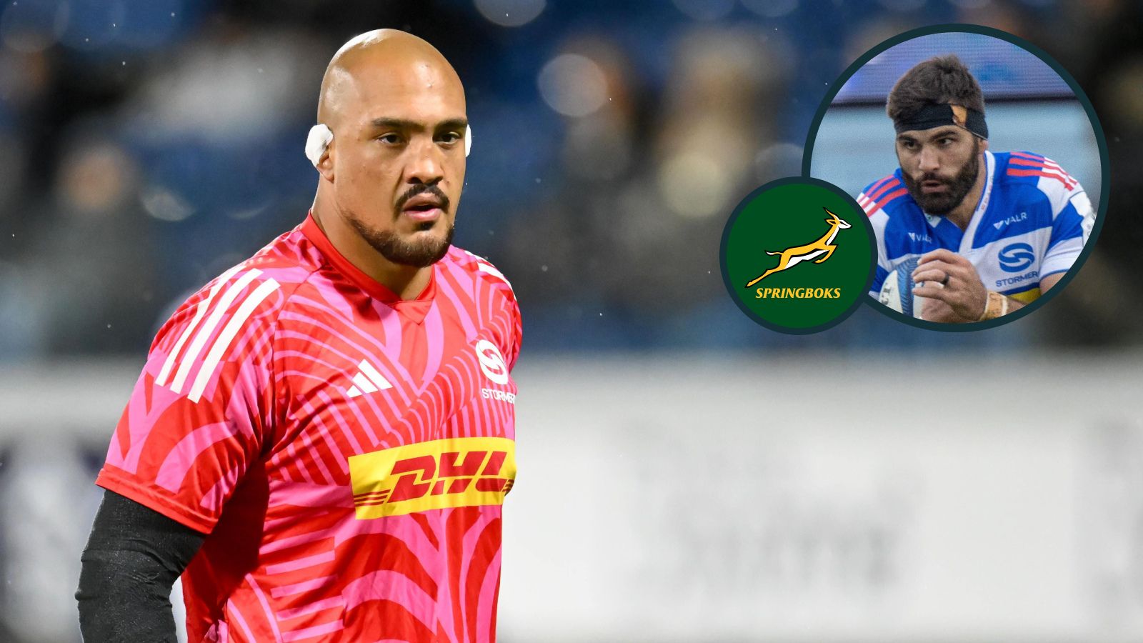 Springboks latest: Erasmus calls up long-time snub amid lock crisis