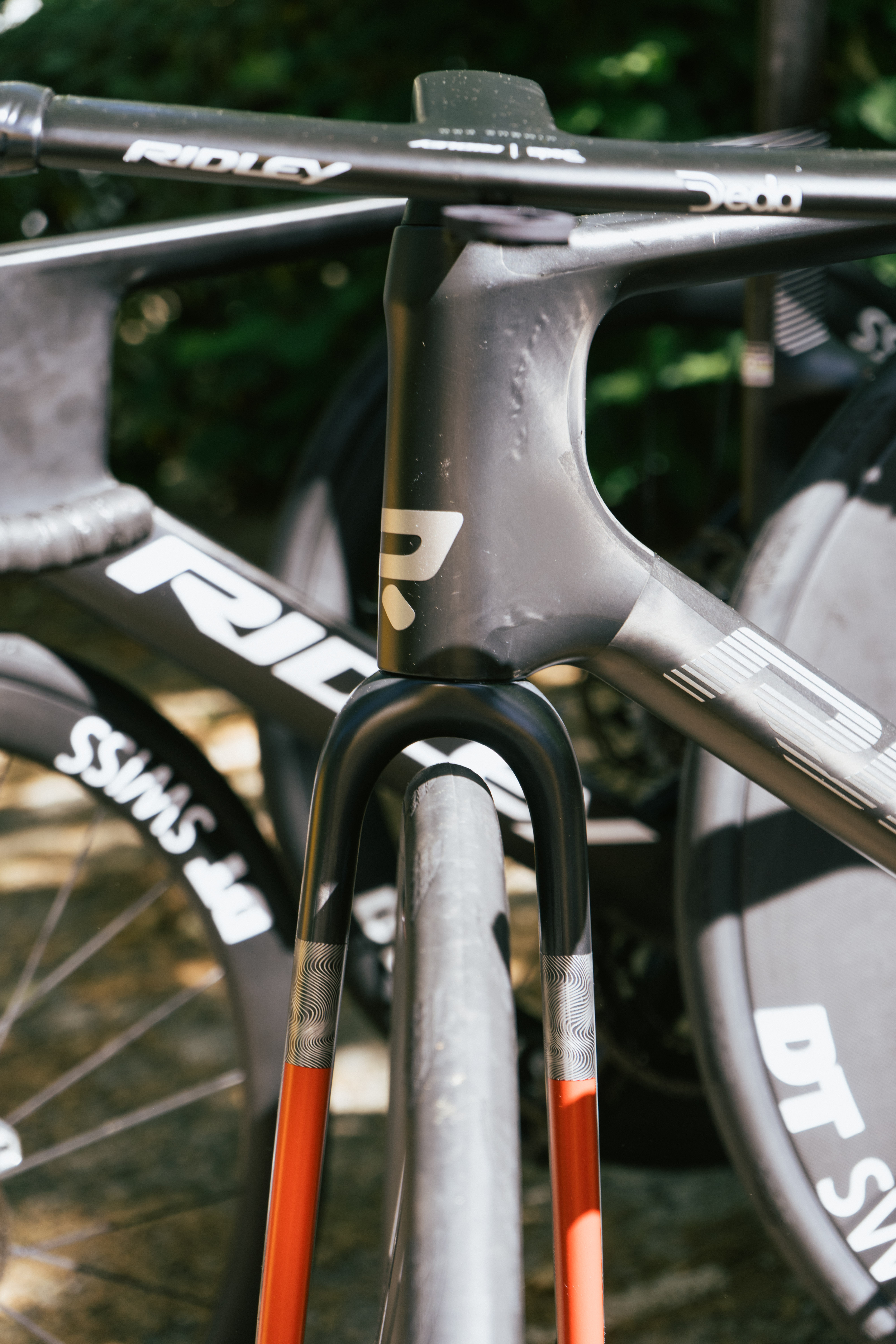 Ridley Prototype