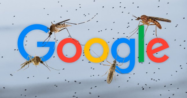 The Google logo surrounded by mosquitoes.